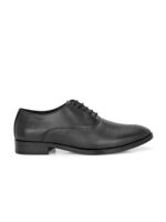 Regal Oxfords